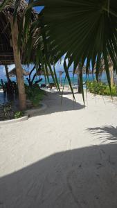 Gallery image of Milele Beach Resort in Pingwe