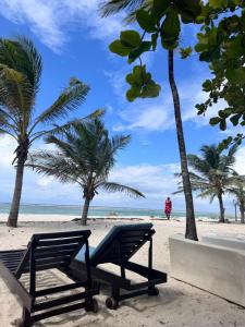 two benches on a beach with palm trees at Goldensun Resort Studio in Diani Beach