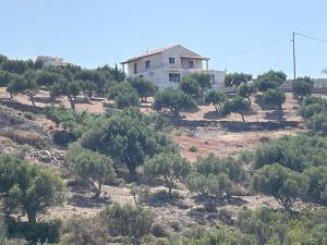 Φυσικό τοπίο κοντά σε αυτό το διαμέρισμα
