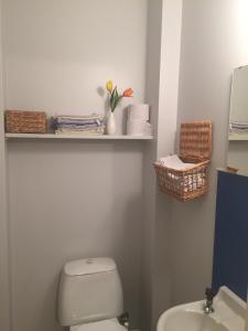a bathroom with a toilet and a sink and a shelf at Södra Ljunga Vandrarhem in Ljungby
