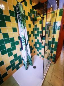 パンマールにあるAuberge du Lama Zébré mixteの浴室のガラス扉付きシャワー