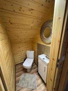 a small bathroom with a toilet and a sink at PodKarpackim Niebem Jaśliska in Jaśliska +29 photos
