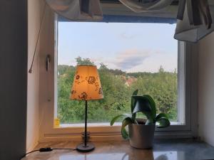 eine Lampe, die vor einem Fenster mit einer Pflanze sitzt in der Unterkunft Cozy apt in 50s villa 10 min tram ride to city in Göteborg