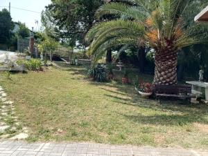 Κήπος έξω από το Oasi verde +7 φωτογραφίες