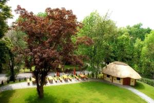 Zahrada ubytování Villa Carmen
