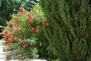 Zahrada ubytování B&B Terra del Sole