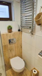 a small bathroom with a toilet and a window at Dom Wakacyjny Zielone Wzgórze in Mielno