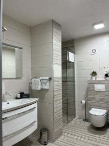 a bathroom with a shower and a toilet and a sink at Apartmani Šegota in Lun +35 photos