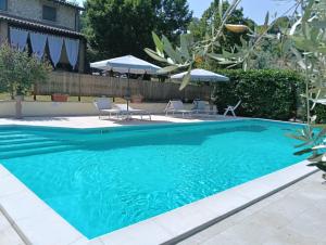 a large blue swimming pool with chairs and umbrellas at La Selvarella in Montecchio
