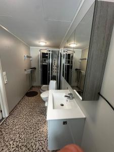 a bathroom with two toilets and a sink and mirror at Lyngen Blue House in Lyngseidet
