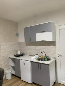 a kitchen with a sink and a counter top at Apartmani Pavlović in Rogačica