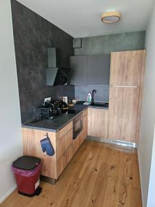 a kitchen with a sink and a counter top at Ski a Bike Siréna Janské lázně APARTMENT 204 in Janske Lazne +3 photos