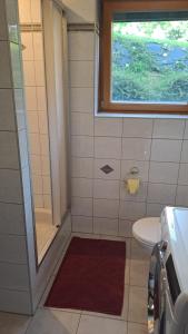 a bathroom with a shower and a sink and a window at Come a casa in Nikelsdorf +21 photos
