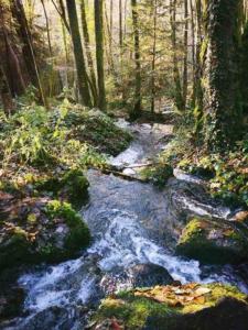 Imagen de la galería de Le Gîte d'Orpha #2, en Rienne