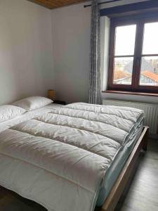 Imagen de la galería de Le Gîte d'Orpha #2, en Rienne