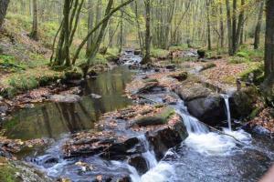 Imagen de la galería de Le Gîte d'Orpha #2, en Rienne