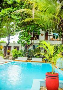 a large swimming pool with a palm tree next to a building at Kilimanjaro in Nungwi