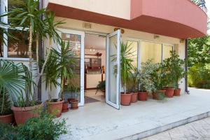 an open door of a house with potted plants at Guesthouse Kirov in Ravda