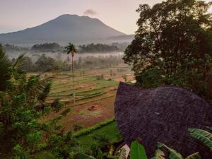 a person holding an umbrella looking at a mountain at Jiva Bali - Green Dream Suites in Selat