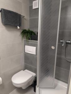 a bathroom with a toilet and a shower at TOP KaVi apartments #7, Pool, Sauna und Fitness FREE, 2-Zimmer in Sankt Englmar