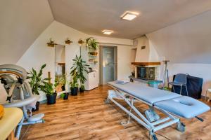 a hospital room with a bed and plants at Ada in Muszyna