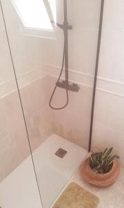 a shower with a glass door next to a plant at Mi Casa Su Casa in Montijo +12 photos