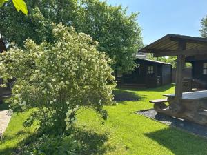 a tree with white flowers on it in a yard at Rendixime - Karjamaa Garden Bungalows Free parking and coffee in Pärnu
