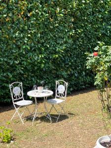 Foto dalla galleria di Apartmani Foresta a Kras Altre 43 foto