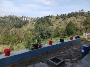 a row of potted plants sitting on a ledge at the kasar devi stays in Almora