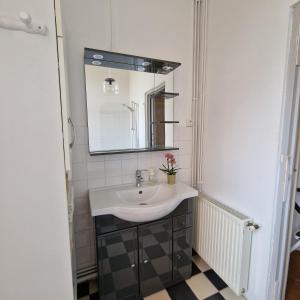 a bathroom with a sink and a mirror at Apartment Joie de Vivre in Béziers +36 photos