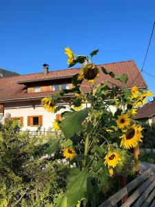 Galería fotográfica de Ferienwohnung in Hermagor Pressegger See mit eigenem Garten und Carport en Hermagor