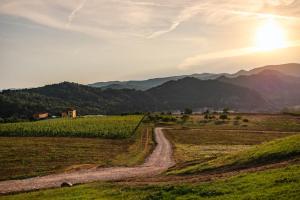 a dirt road in a field with mountains in the background at Casa La Cucca in Spigno Monferrato