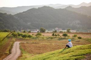 a man sitting on top of a grassy hill at Casa La Cucca in Spigno Monferrato