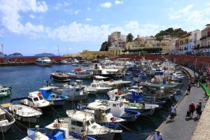 a bunch of boats are docked in a harbor at L'Isolana Case Vacanza Alloro 3 in Ponza