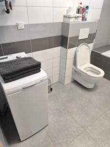 a bathroom with a white toilet and a sink at Apartmán Tereza in Kutná Hora +26 photos