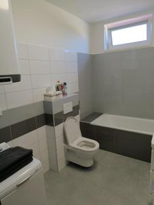 a bathroom with a toilet and a tub and a sink at Apartmán Tereza in Kutná Hora