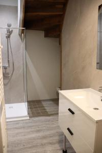a bathroom with a shower and a sink at Maison Garde Barriere in Canilhac +14 photos