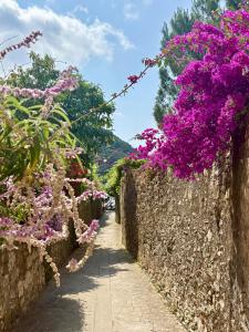 an alley with purple flowers on a stone wall at Gioiello alle porte delle 5 Terre in Framura
