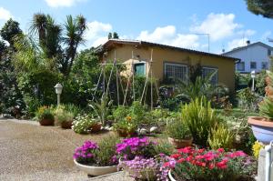 a garden with flowers in front of a house at Le Cicale in Casal Palocco