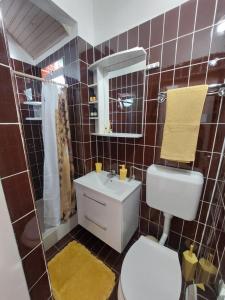 Kúpeľňa v ubytovaní Apartment Tonči