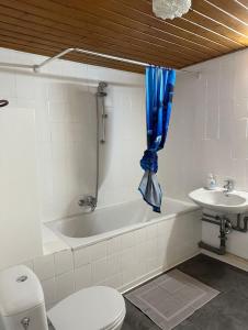 KönigsbronnにあるMonteurzimmer Königsbronn Dachgeschossのトイレ、洗面台、青いカーテンのあるバスルーム