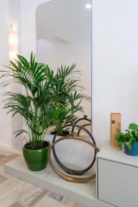 Ảnh trong thư viện ảnh của Casa Bella ở Faro