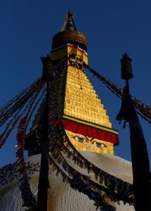 Fotografie z fotogalerie ubytování Shambaling Boutique Hotel v destinaci Kathmandu