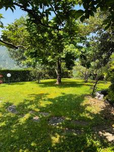a park with trees and green grass and water at Il Giardino di Monterole Cà d'Pini in Bagnone