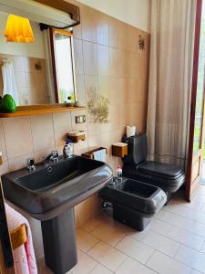 a bathroom with a sink and a toilet at Il Giardino di Monterole Cà d'Pini in Bagnone