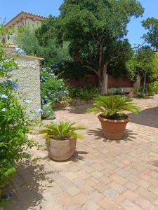 two large pots with plants in a courtyard at Trilo Lu Rattali in San Teodoro