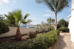 a walkway with palm trees and the ocean in the background at Country Villa San Vito Bay in San Vito lo Capo