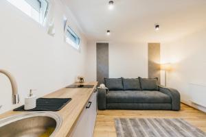 a living room with a couch and a sink at Margareta Apartments in Odorheiu Secuiesc +35 photos
