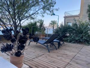 Aed väljaspool majutusasutust Splendide Studio Miramar vue mer avec terrasse