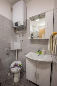 Koupelna v ubytování Apartman Sabljak + 37 fotografií